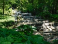 DSCN0650