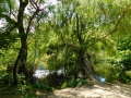 DSCN0705