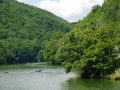 DSCN0779