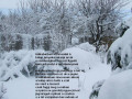 1_telikabatban