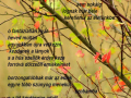 Augusztus