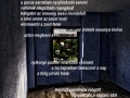 Hallgatni