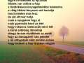 napforduloutan