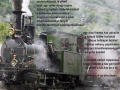 Történet