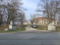 DSCF1313